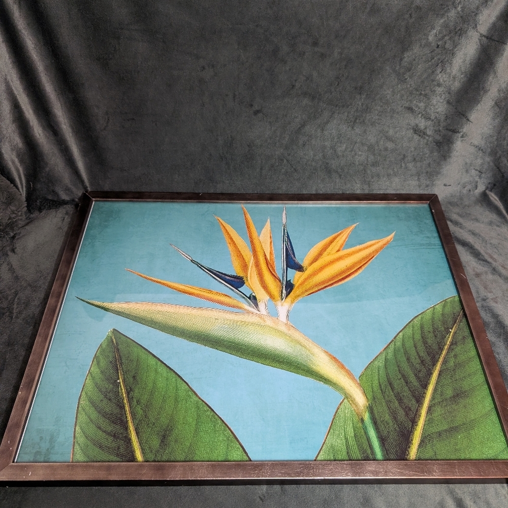 Vibrant Bright Floral Art Print. Bird of Paradise . Framed, Retro Vibe 25"X19"